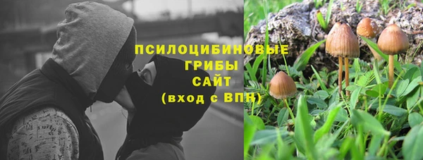 ECSTASY Няндома