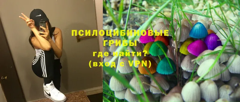 omg tor  Омск  дарк нет состав  Галлюциногенные грибы Psilocybine cubensis 