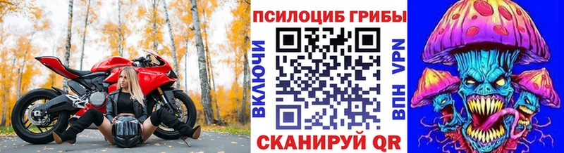 закладки  Омск  Псилоцибиновые грибы прущие грибы 